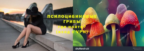 ПСИЛОЦИБИНОВЫЕ ГРИБЫ Богородицк