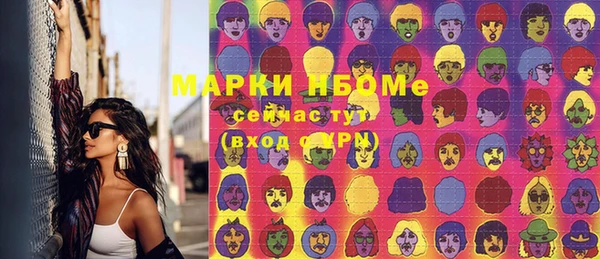 индика Беломорск