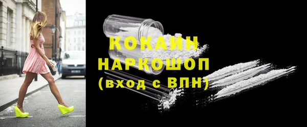 индика Беломорск