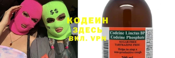 индика Беломорск
