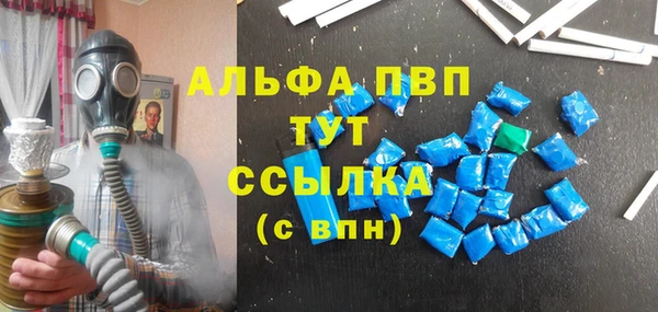 шишки Приозерск