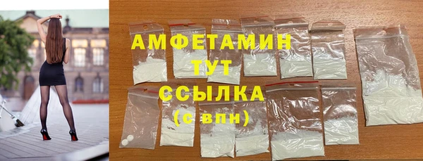 индика Беломорск