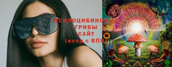 СК Богданович