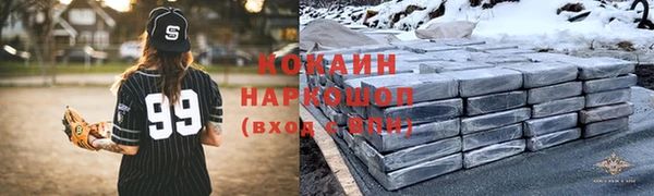 индика Беломорск